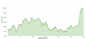 Elevation chart for the race