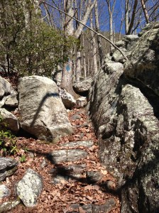 One of the smoother parts of Blue Hell