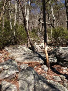 on Blue Hell.  Rock city.