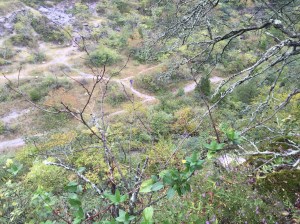 From the ridge looking down to the quarry below.  See the runners? 