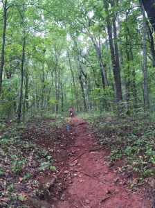 But for every section of "flat" trail there were long steady climbs like this one.