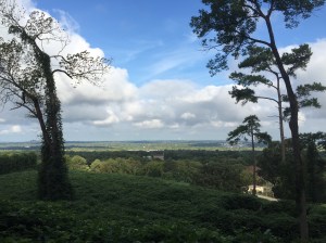 Lovely view from Red Mountain