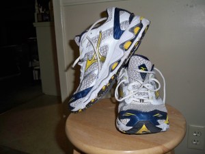 Ran my first marathon in these. The Renegade 4